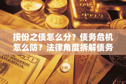 武汉按份之债怎么分？债务危机怎么防？法律角度拆解债务分配与风险自保指南