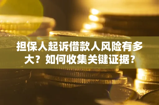 武汉担保人起诉借款人风险有多大？如何收集关键证据？