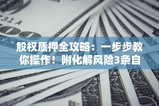武汉股权质押全攻略：一步步教你操作！附化解风险3条自救法则