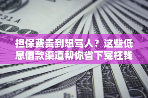武汉担保费贵到想骂人？这些低息借款渠道帮你省下冤枉钱