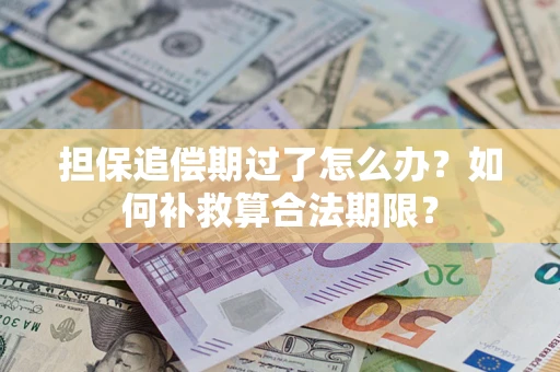 武汉担保追偿期过了怎么办？如何补救算合法期限？