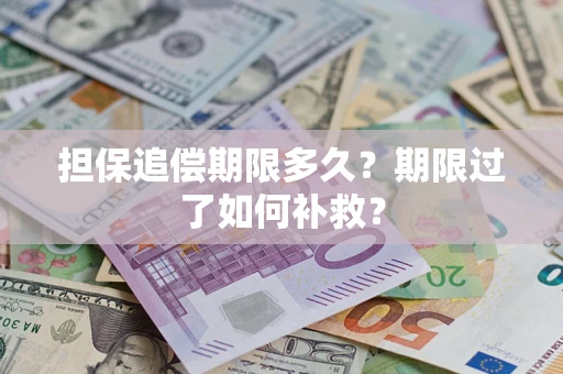 武汉担保追偿期限多久？期限过了如何补救？