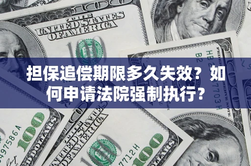 武汉担保追偿期限多久失效？如何申请法院强制执行？