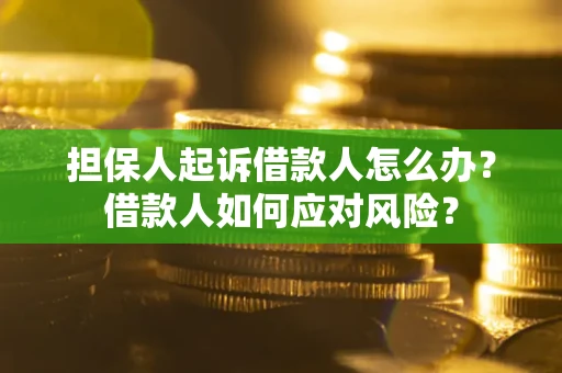 武汉担保人起诉借款人怎么办？借款人如何应对风险？