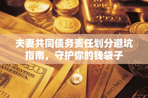武汉夫妻共同债务责任划分避坑指南，守护你的钱袋子